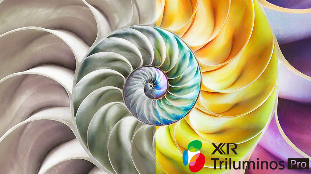 XR Triluminos Pro tái tạo hơn 1 tỷ màu