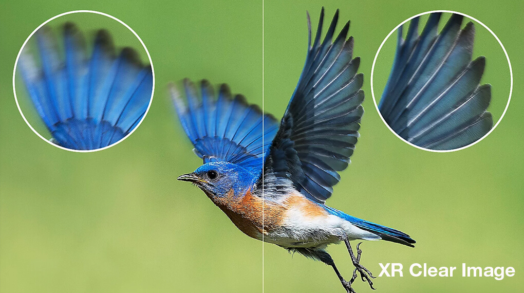 Độ phân giải 4K, công nghệ XR Clear Image và XR Cognitive cho hình ảnh sắc nét