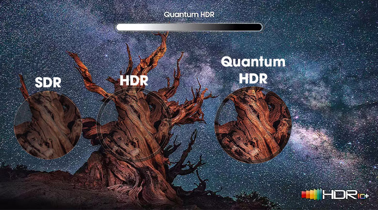 Nâng cao độ tương phản, màu sắc cho hình ảnh đẹp, chi tiết cùng công nghệ Quantum HDR 2000 nits, HDR10+