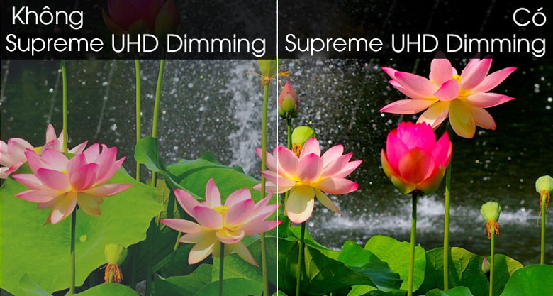 Trải nghiệm hình ảnh hiển thị chi tiết và sắc nét hơn với công nghệ Supreme UHD Dimming