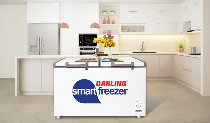 Tủ đông mát 2 dàn lạnh Darling DMF-3699WS-4