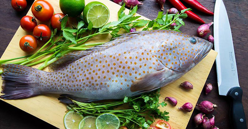 Công nghệ chống đóng tuyết