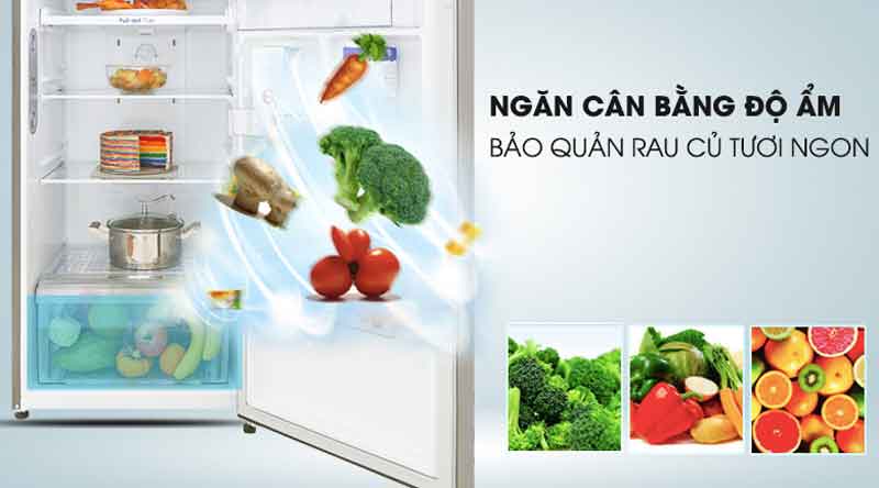 Ngăn cân bằng độ ẩm