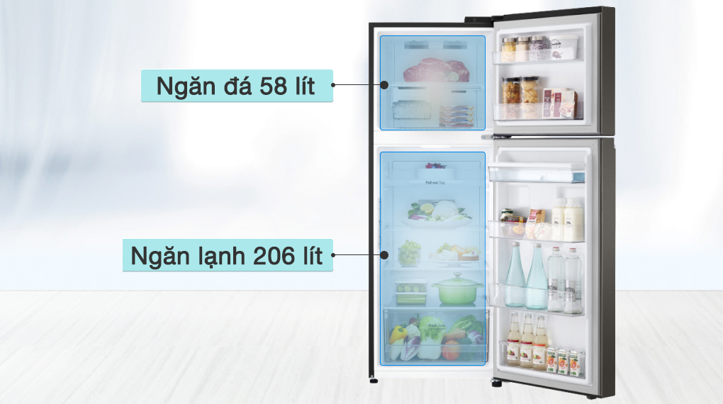 Tủ lạnh LG Inverter 264 Lít GV-D262BL - Dung tích