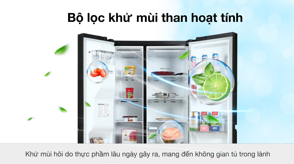 Tủ lạnh LG Inverter 635 Lít GR-D257WB - Công nghệ khử khuẩn