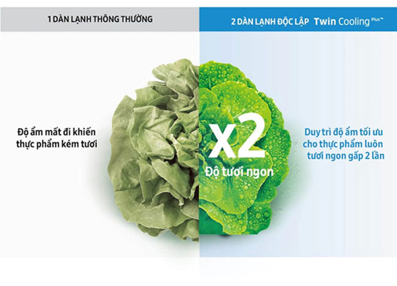 Thực phẩm tươi ngon lâu hơn gấp 2 lần với công nghệ 2 dàn lạnh độc lập Twin Cooling Plus