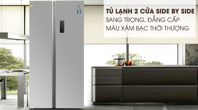 Tủ lạnh Electrolux ESE5301AG thiết kế mới hiện đại