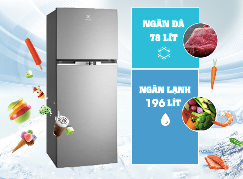 Tủ lạnh Electrolux ETB2600MG hiện đại và tiết kiệm điện năng